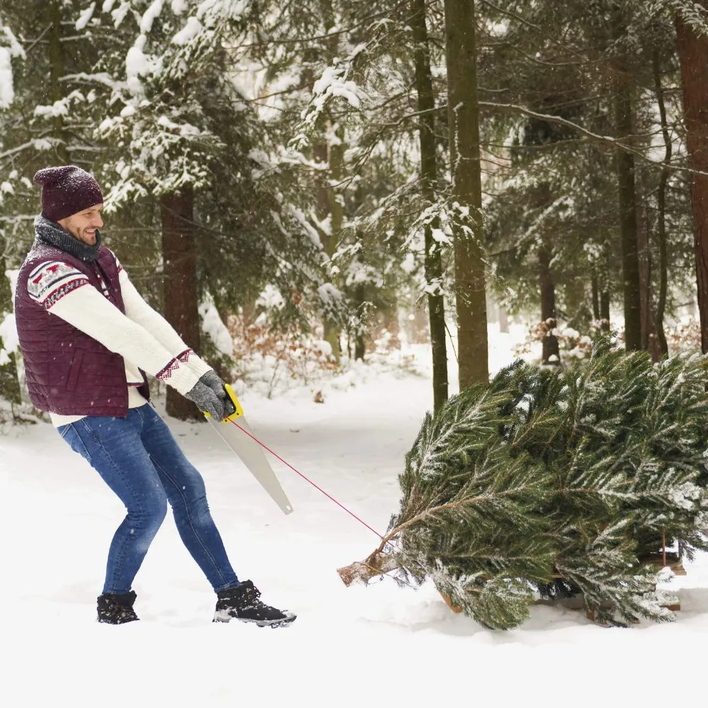 A christmas tree being removed by grunber.