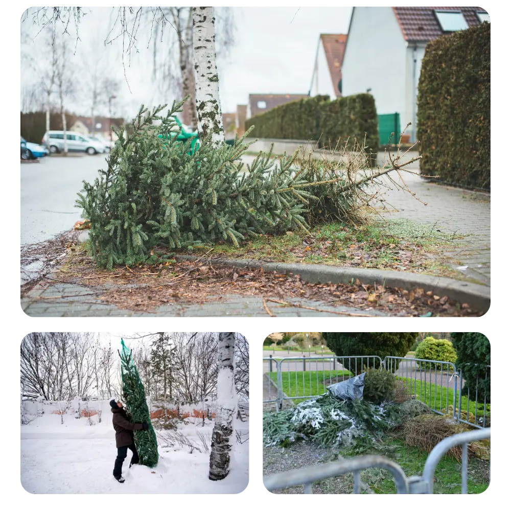 A christmas tree being removed by grunber.