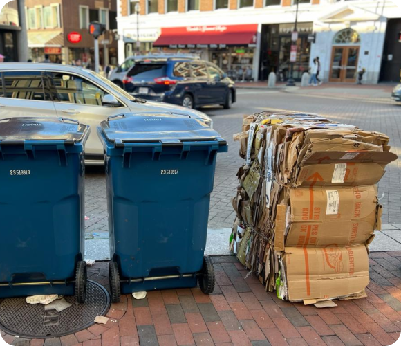Two blue trash cans at the curbside with cardboard bales beside them, ready for pickup